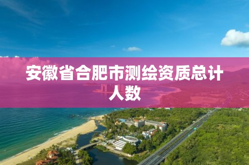 安徽省合肥市测绘资质总计人数