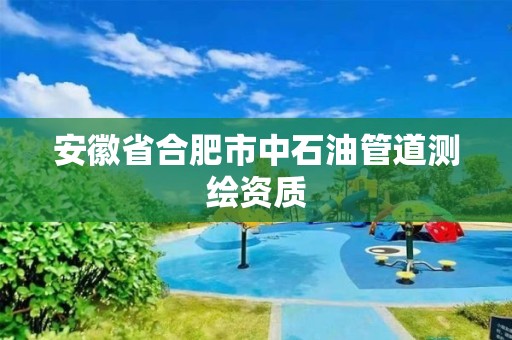 安徽省合肥市中石油管道测绘资质