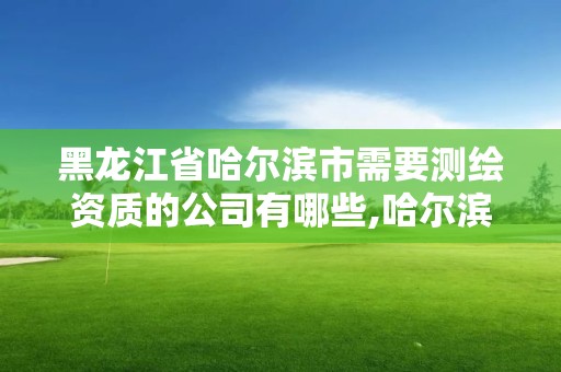 黑龙江省哈尔滨市需要的公司有哪些,哈尔滨测绘公司哪家好。