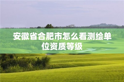 安徽省合肥市怎么看测绘单位资质等级