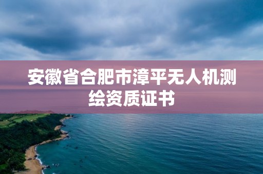 安徽省合肥市漳平无人机测绘资质证书