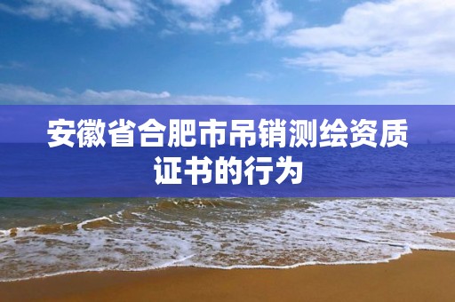 安徽省合肥市吊销测绘资质证书的行为