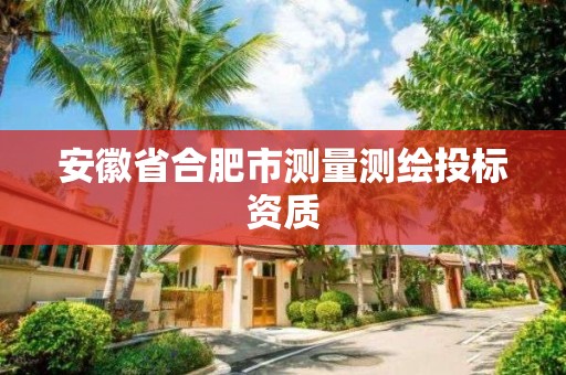 安徽省合肥市测量测绘投标资质