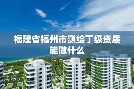 福建省福州市测绘丁级资质能做什么