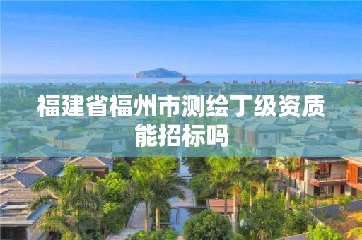 福建省福州市测绘丁级资质能招标吗