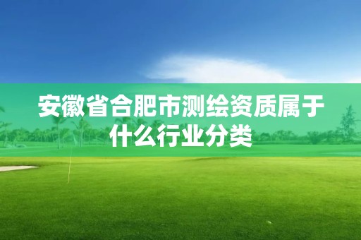 安徽省合肥市测绘资质属于什么行业分类