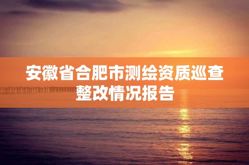 安徽省合肥市测绘资质巡查整改情况报告