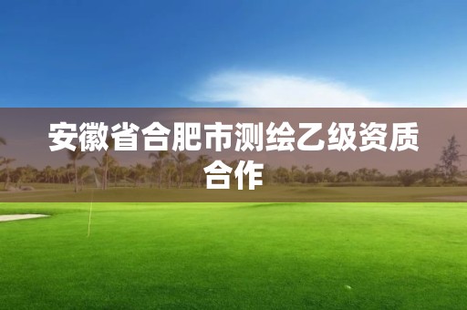 安徽省合肥市测绘乙级资质合作