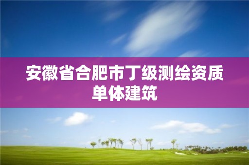 安徽省合肥市丁级测绘资质单体建筑