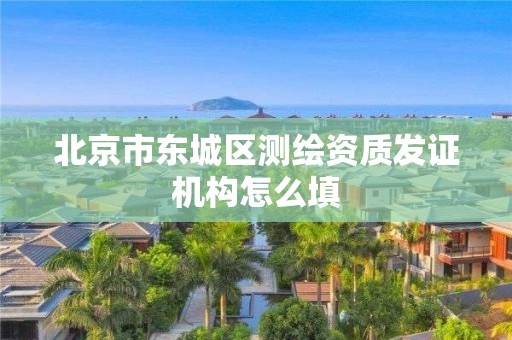 北京市东城区测绘资质发证机构怎么填