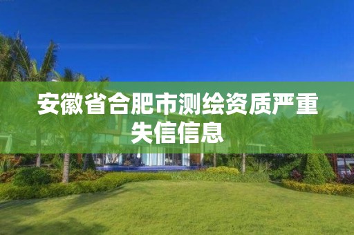 安徽省合肥市测绘资质严重失信信息