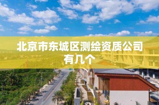 北京市东城区测绘资质公司有几个