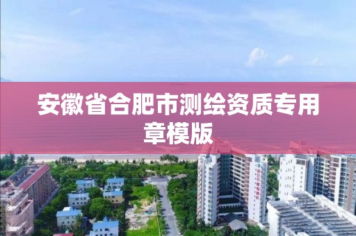 安徽省合肥市测绘资质专用章模版