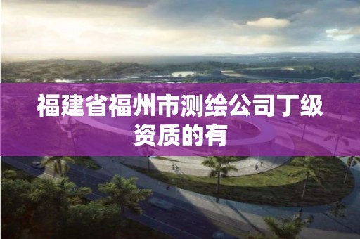 福建省福州市测绘公司丁级资质的有