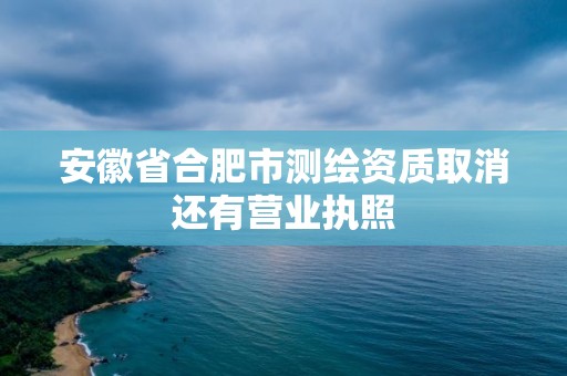 安徽省合肥市测绘资质取消还有营业执照