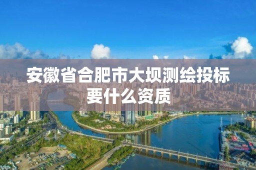 安徽省合肥市大坝测绘投标要什么资质