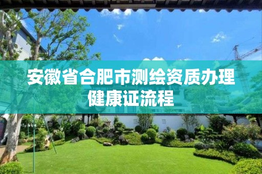 安徽省合肥市测绘资质办理健康证流程