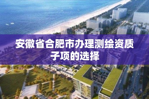 安徽省合肥市办理测绘资质子项的选择