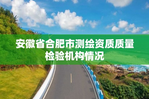 安徽省合肥市测绘资质质量检验机构情况