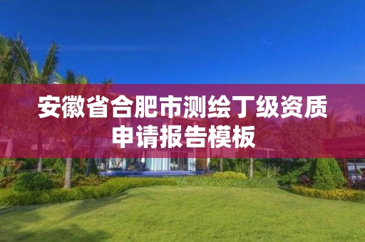 安徽省合肥市测绘丁级资质申请报告模板