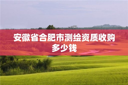 安徽省合肥市测绘资质收购多少钱