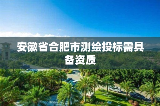 安徽省合肥市测绘投标需具备资质