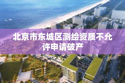 北京市东城区测绘资质不允许申请破产