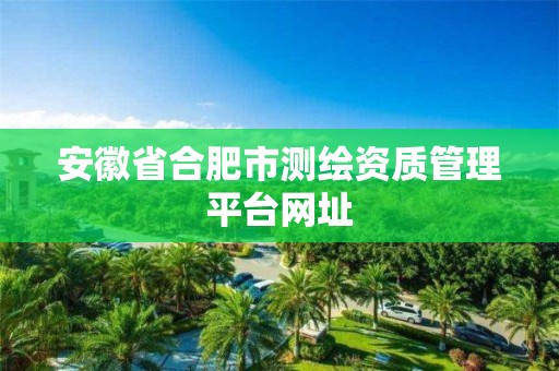 安徽省合肥市测绘资质管理平台网址