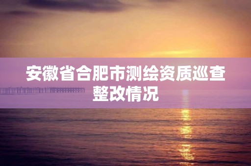 安徽省合肥市测绘资质巡查整改情况