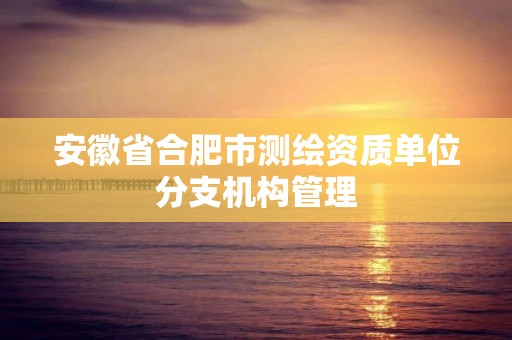 安徽省合肥市测绘资质单位分支机构管理