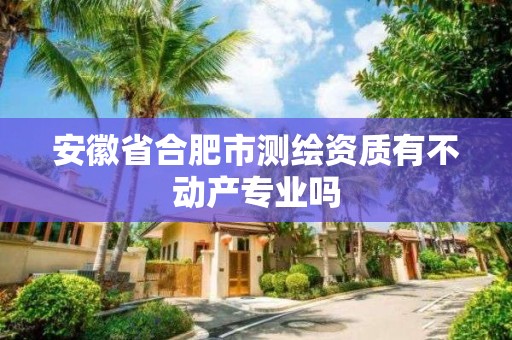 安徽省合肥市测绘资质有不动产专业吗