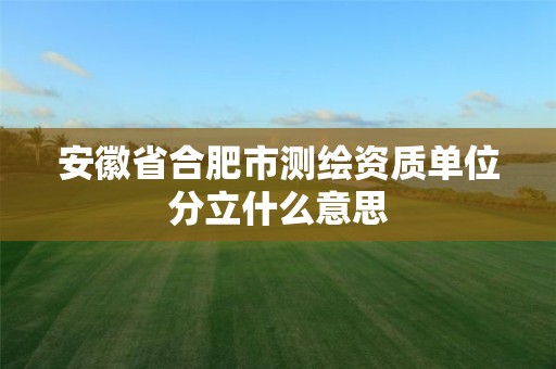 安徽省合肥市测绘资质单位分立什么意思