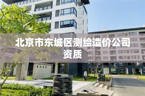 北京市东城区测绘造价公司资质