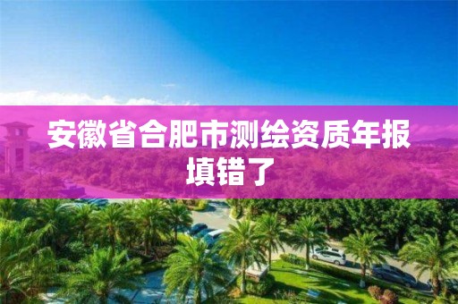 安徽省合肥市测绘资质年报填错了