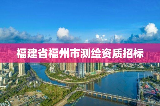 福建省福州市测绘资质招标