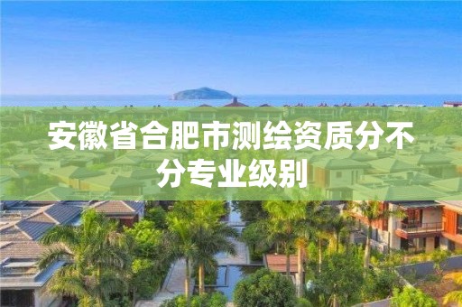 安徽省合肥市测绘资质分不分专业级别