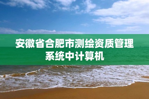 安徽省合肥市测绘资质管理系统中计算机