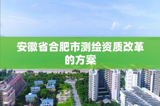 安徽省合肥市测绘资质改革的方案