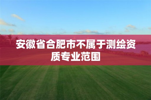 安徽省合肥市不属于测绘资质专业范围