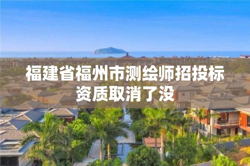 福建省福州市测绘师招投标资质取消了没