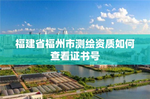 福建省福州市测绘资质如何查看证书号