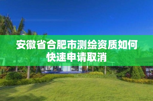 安徽省合肥市测绘资质如何快速申请取消