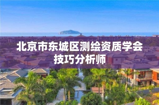 北京市东城区测绘资质学会技巧分析师