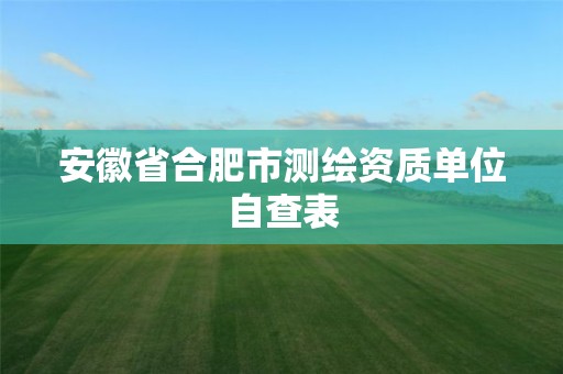 安徽省合肥市测绘资质单位自查表