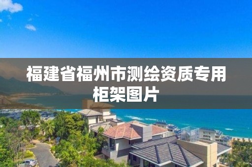 福建省福州市测绘资质专用柜架图片