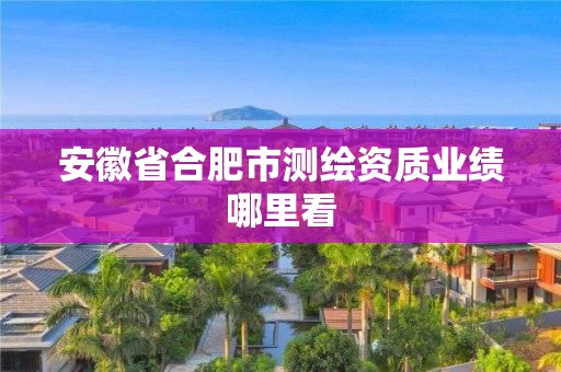 安徽省合肥市测绘资质业绩哪里看