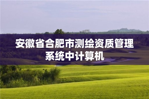 安徽省合肥市测绘资质管理系统中计算机