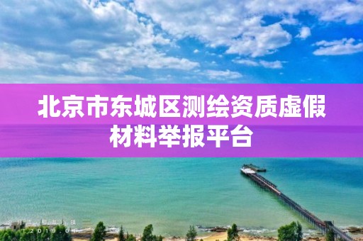 北京市东城区测绘资质虚假材料举报平台