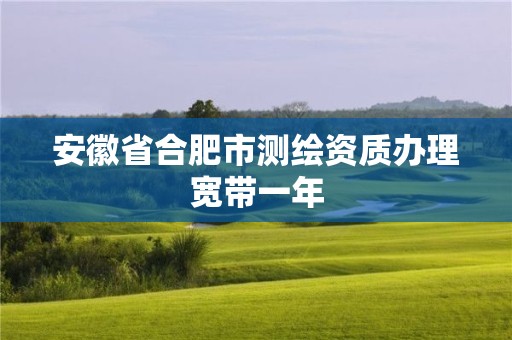 安徽省合肥市测绘资质办理宽带一年