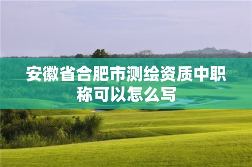 安徽省合肥市测绘资质中职称可以怎么写